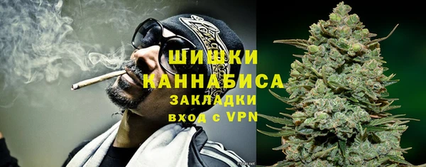 прущие грибы Абдулино